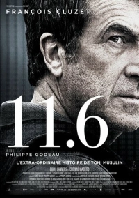 11.6 (2013)